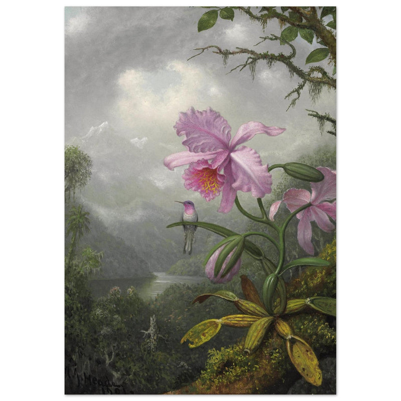 Hummingbird Perched on the Orchid Plant  by Martin Johnson Heade