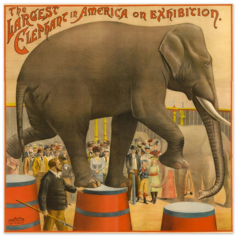 Vintage circus exhibition poster.