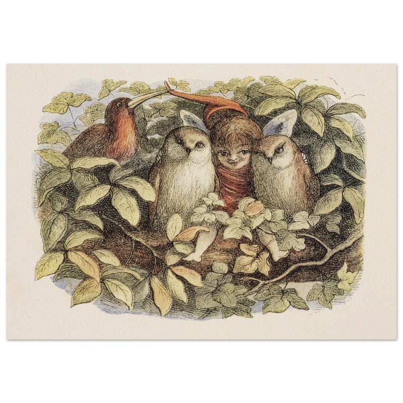 Richard Doyle illustration for Fairyland book. Elves and owls