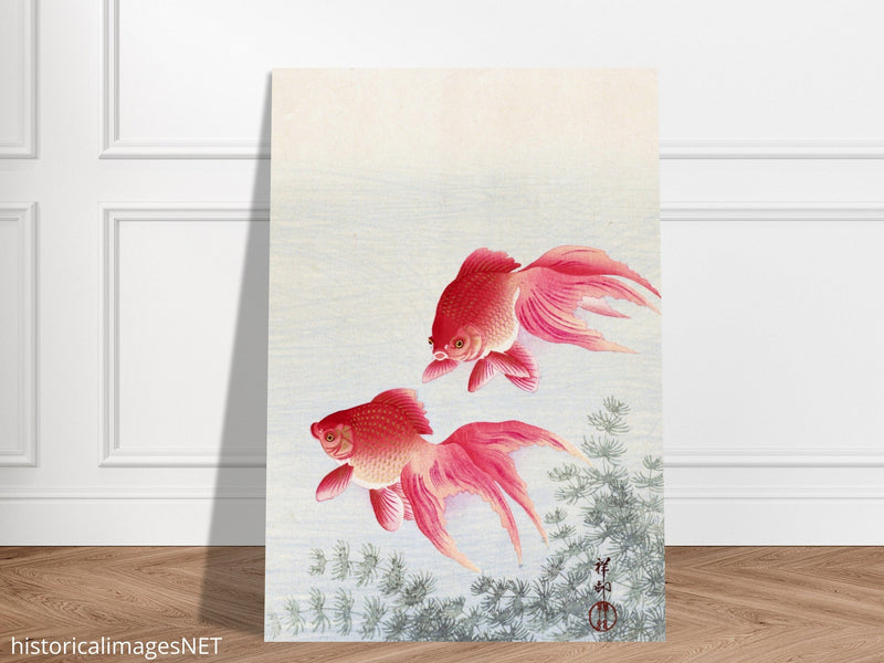 Two veiltail goldfish by Ohara Koson