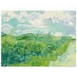 Green Wheat Fields Auvers by Vincent Van Gogh