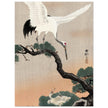 Japanese crane on pine branch by Ohara Koson