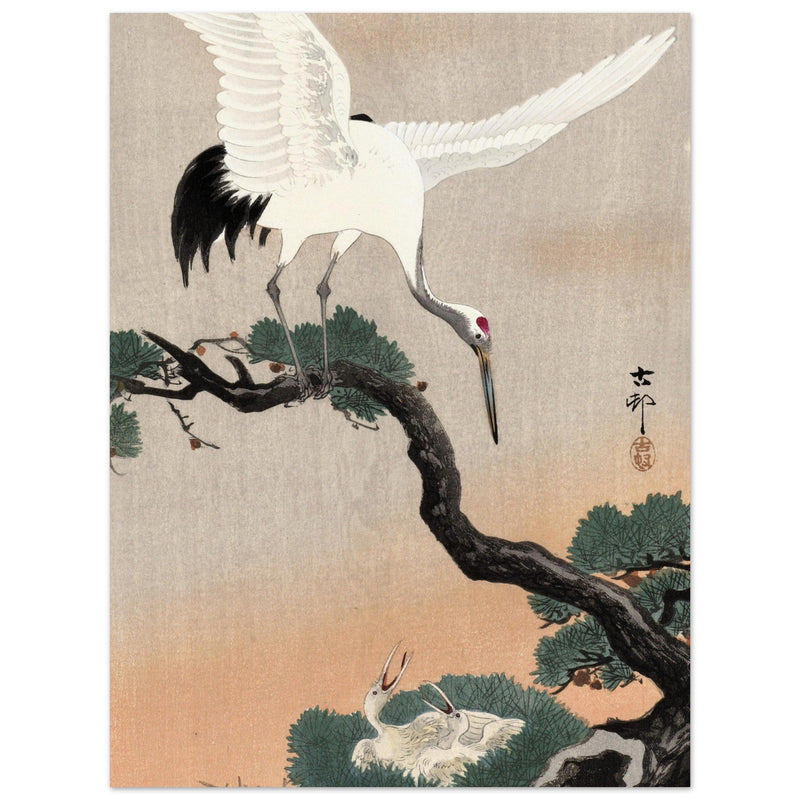 Japanese crane on pine branch by Ohara Koson