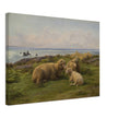 Sheep by the Sea by Rosa Bonheur.