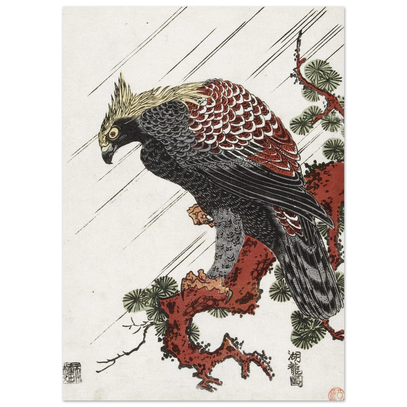 Eagle on pine branch in rain, by Isoda Koryusai