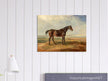 Old painting of brown horse by James Ward 1820.