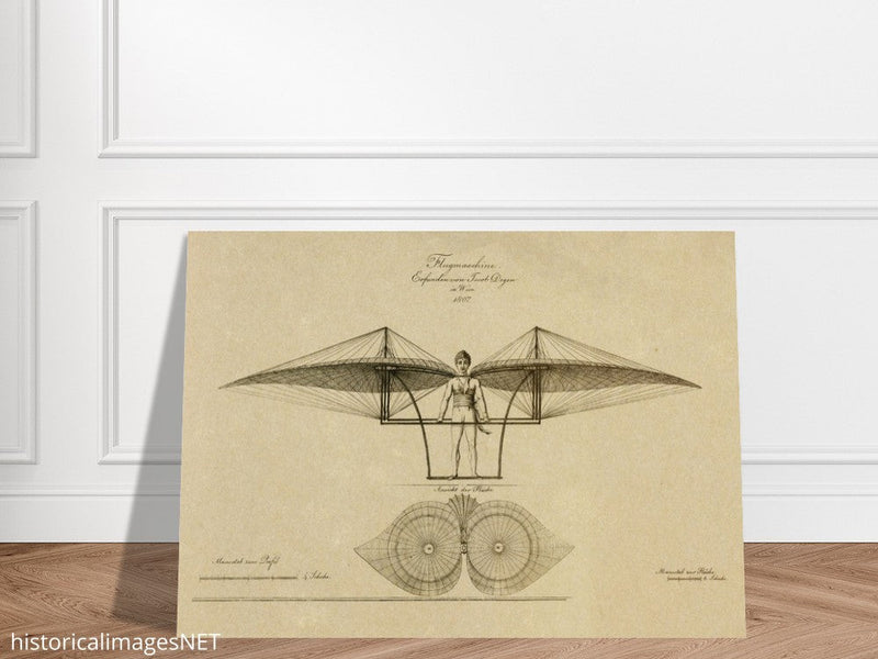 Flight machine invented by Jacob Degen in  1807 also called Degen ornithopter.