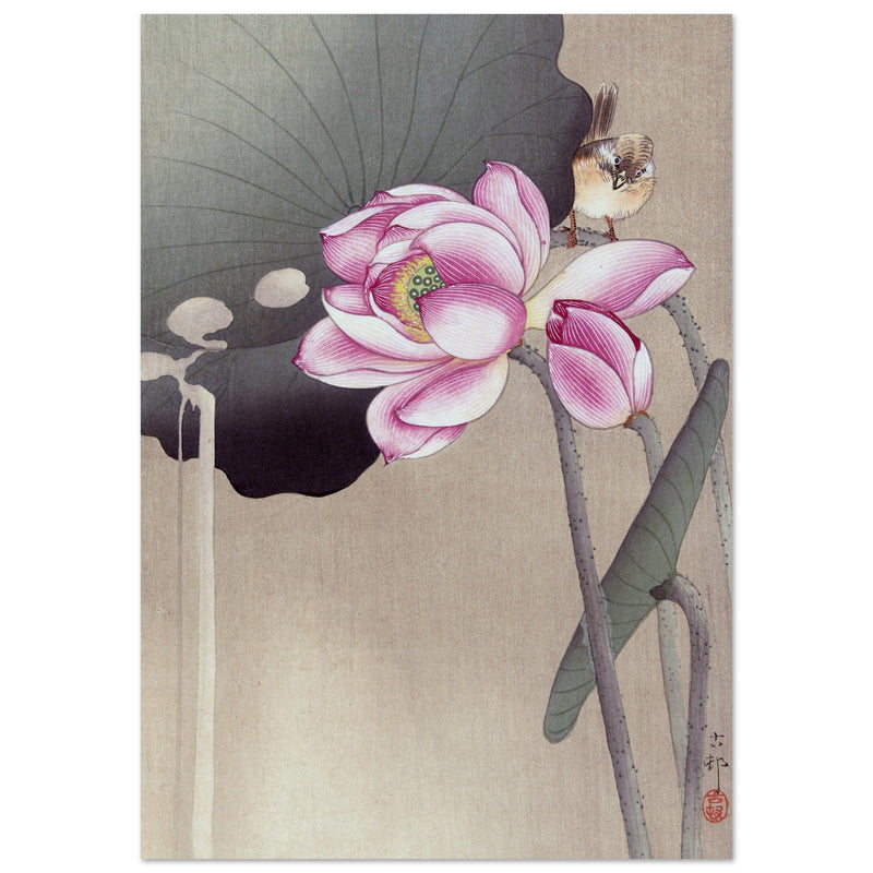 Songbird and Lotus by Ohara Koson woodblock print reproduction