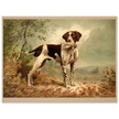 Hunting dog vintage painting poster with partridge in mouth