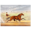 Harness horse racing lithograph. Mr. Bonner's Horse Joe Elliott by John Cameron.