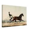 Racehorse Mac by  Nathaniel Currier 1853.