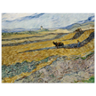 Enclosed Field with Ploughman by Vincent Van Gogh