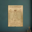 Leonardo da Vinci Vitruvian Man drawing  .