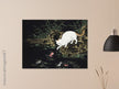 Cats amd fishes in pond. Oriental old painting by Shen Zhenlin.