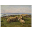 Sheep by the Sea by Rosa Bonheur.