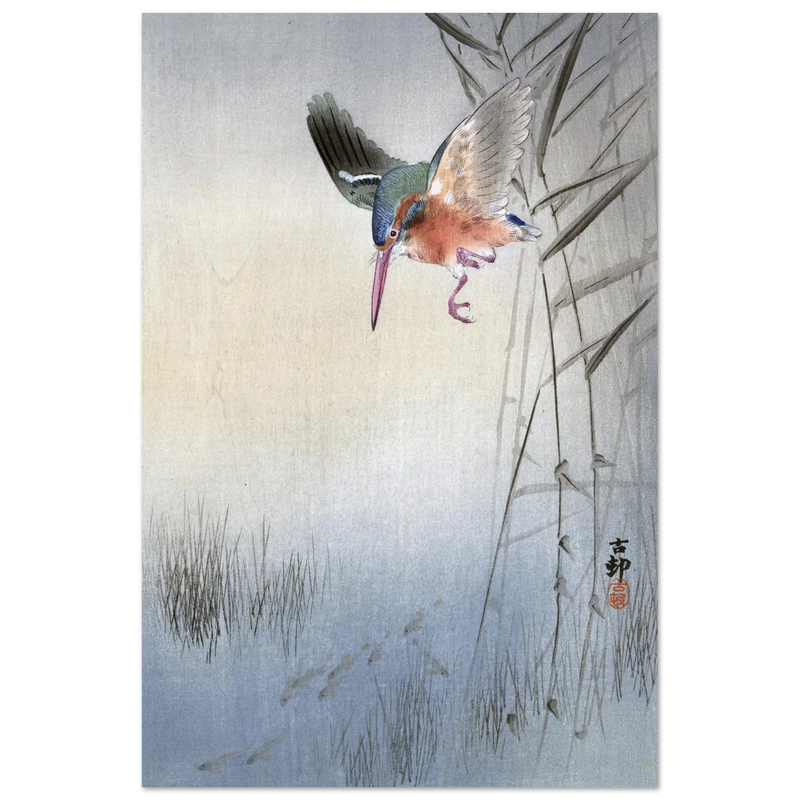Kingfisher hunting fish by Ohara Koson  woodblock print