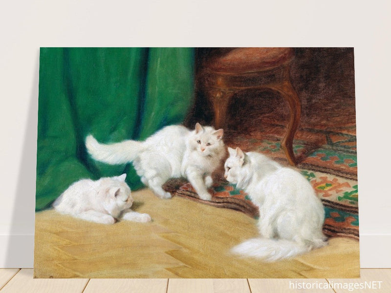 Three white cats playing old painting by Arthur Heyer.