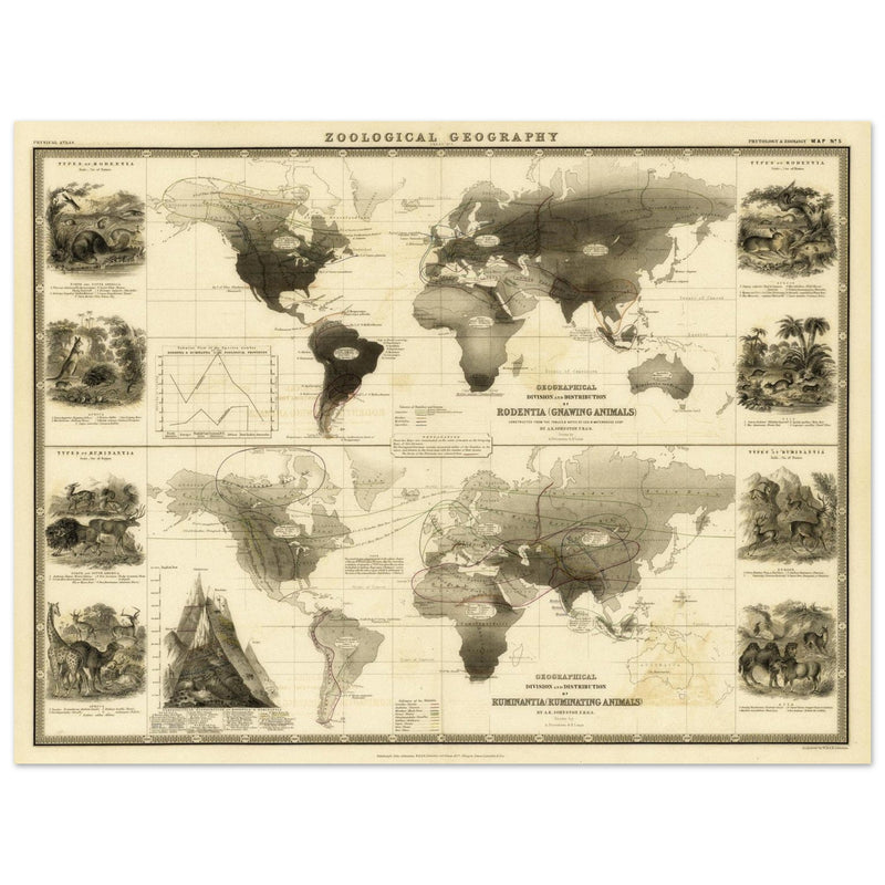 Old map of Gnawing animals distribution 1871 by Alexander Keith Johnston