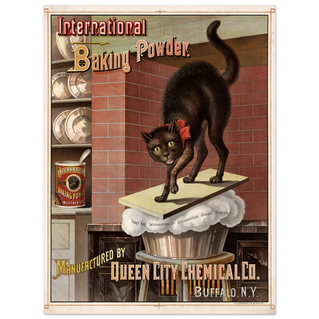 Vintage black cat Baking powder advertisement print 1885