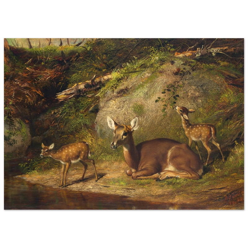Doe and Two Fawns by Arthur Fitzwilliam Tait  1882. Deer inside forest.