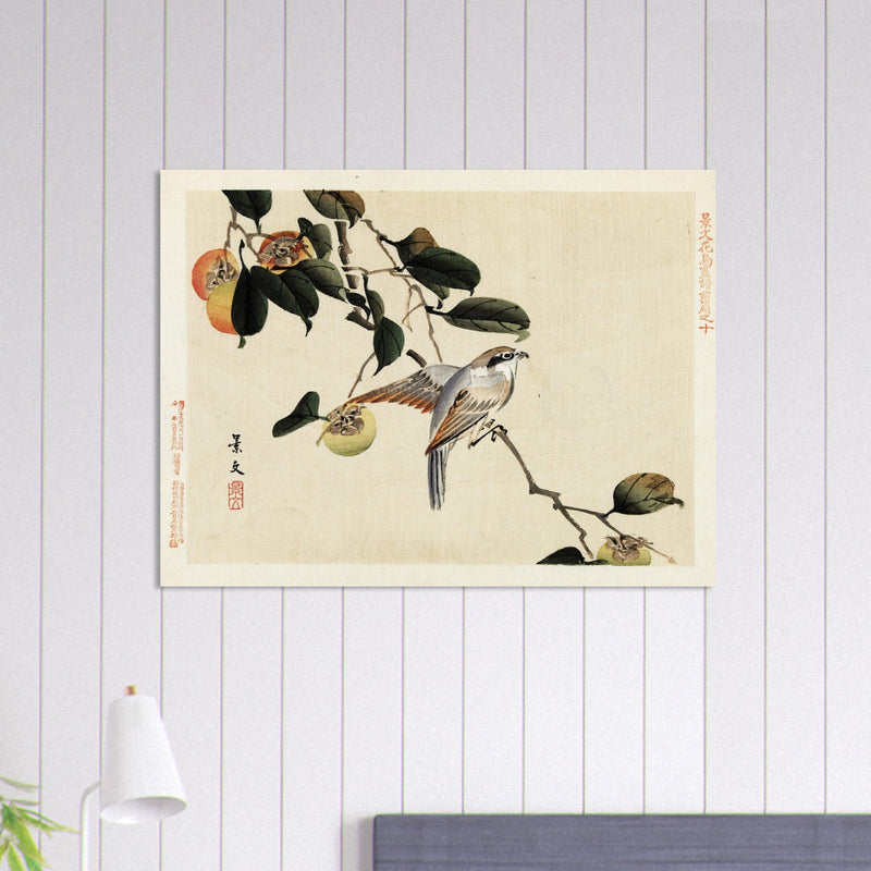Bird and persimmon by Matsumura Keibun, 1892.