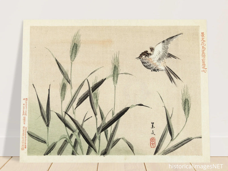 Bird flying among grasses by Matsumura Keibun, 1892.