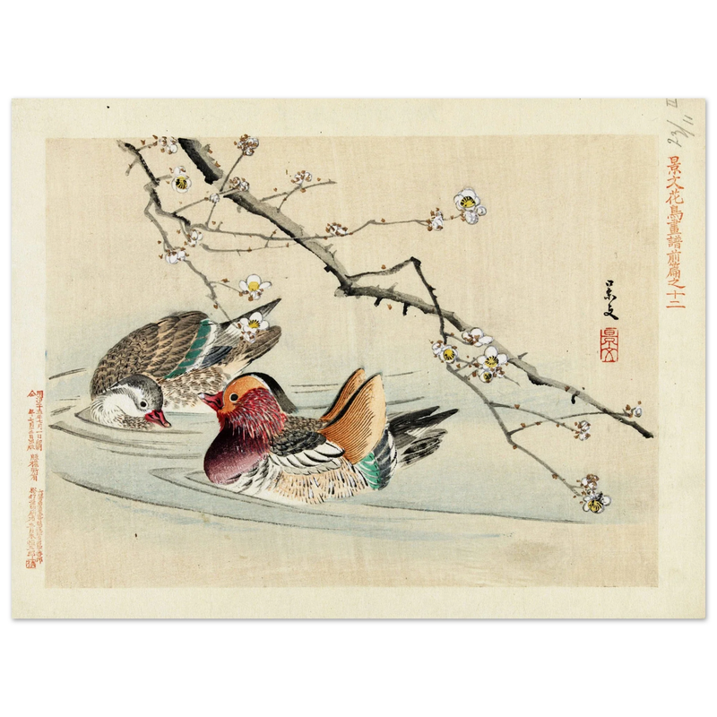 Two ducks by Matsumura Keibun, 1892.