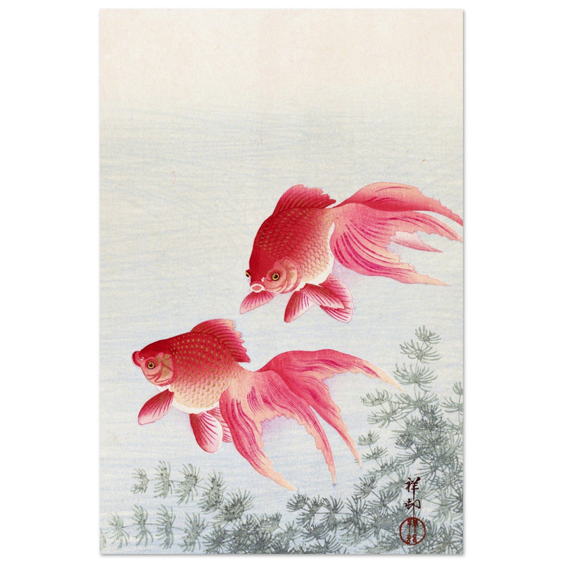 Two veiltail goldfish by Ohara Koson