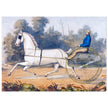 Grey Eagle horse cart antique lithograph by Nathaniel Currier.
