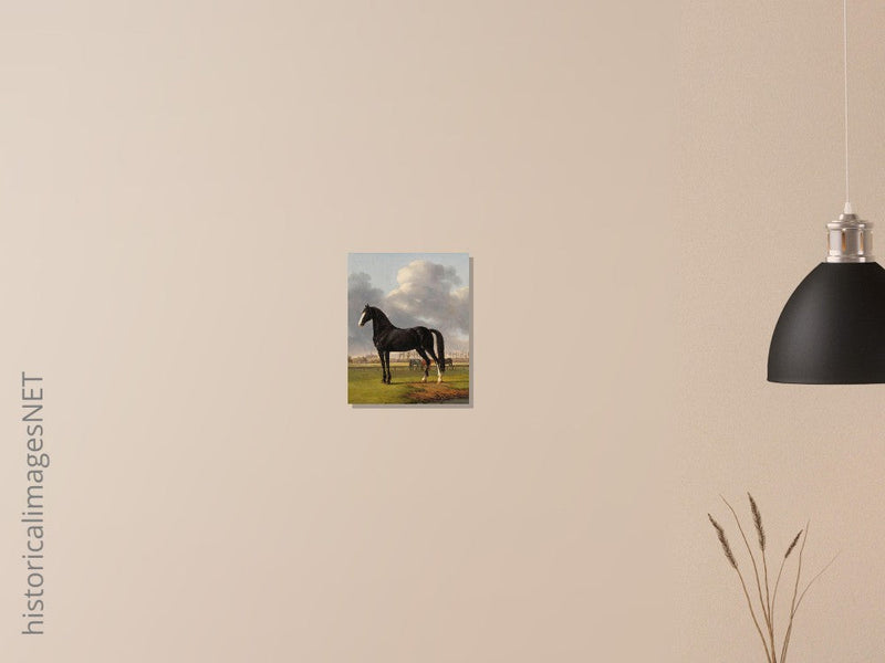 Antique painting of black horse by Anthony Oberman 1828. The fast one in a Meadow.