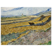 Enclosed Field with Ploughman by Vincent Van Gogh