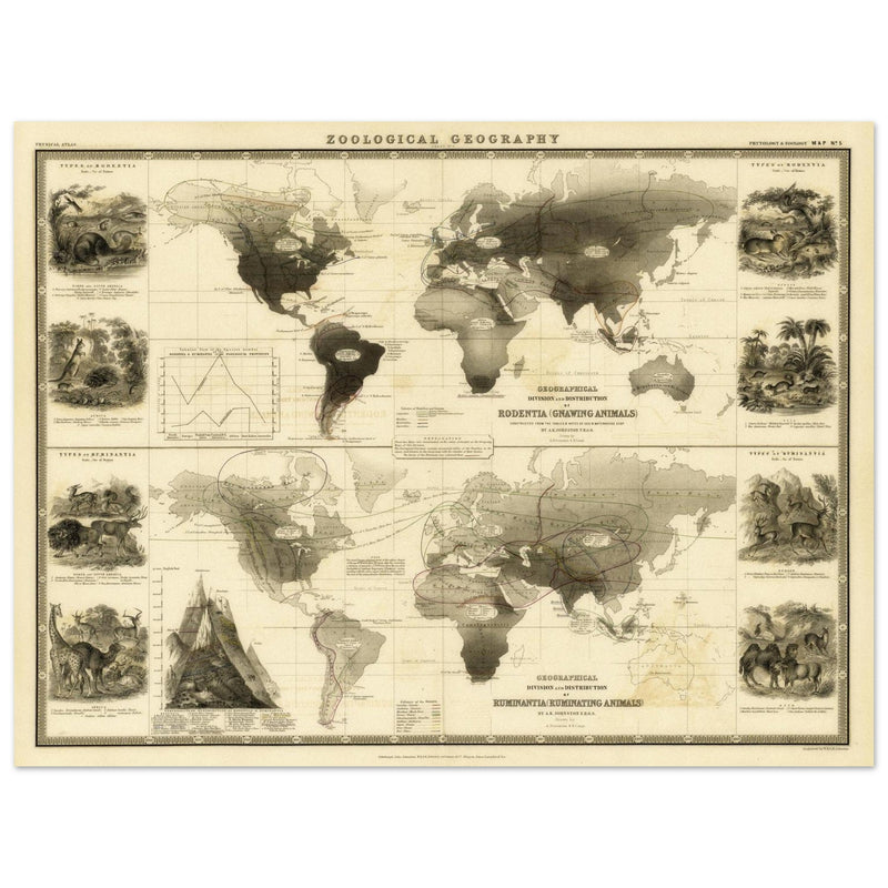 Old map of Gnawing animals distribution 1871 by Alexander Keith Johnston