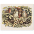 Richard Doyle illustration for Fairyland book. Elves and owls