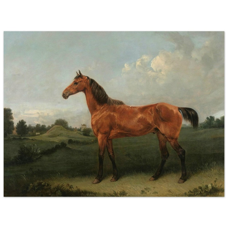 A Bay Horse in a Field by Edmund Bristow old painting 1825.