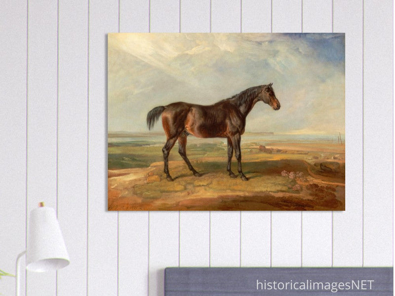 Old painting of brown horse by James Ward 1820.