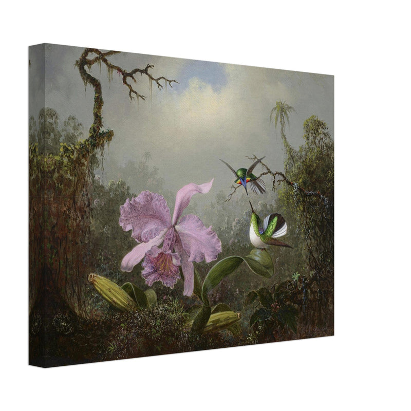 Cattleya Orchid with Two Brazilian Hummingbirds by Martin Johnson Heade