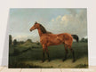 A Bay Horse in a Field by Edmund Bristow old painting 1825.