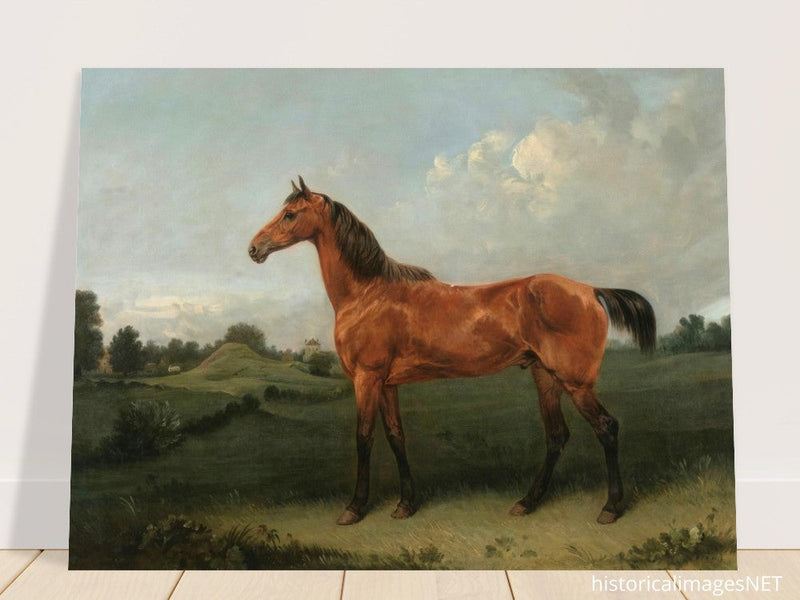 A Bay Horse in a Field by Edmund Bristow old painting 1825.