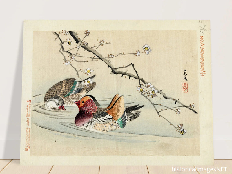 Two ducks by Matsumura Keibun, 1892.