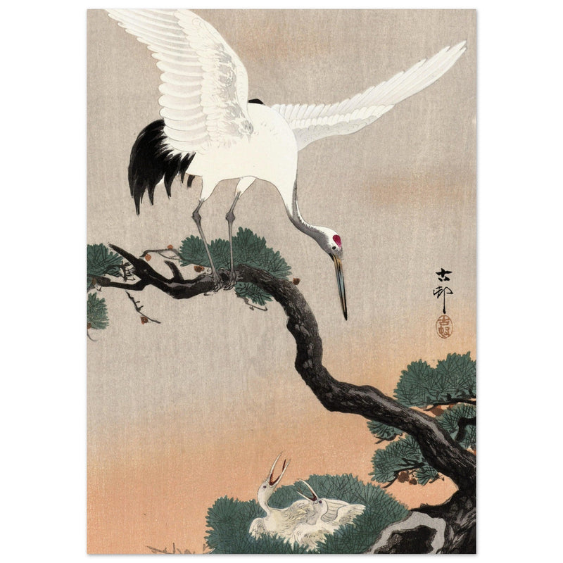 Japanese crane on pine branch by Ohara Koson