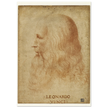 Portrait of Leonardo da Vinci by anonimous artist 1510-1530 .