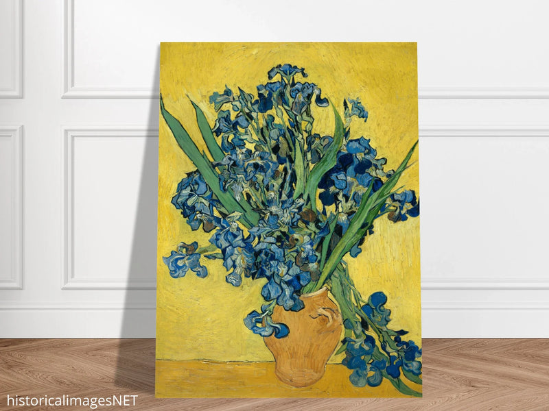 Irises by Vincent Van Gogh