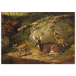 Doe and Two Fawns by Arthur Fitzwilliam Tait  1882. Deer inside forest.