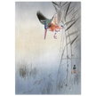 Kingfisher hunting fish by Ohara Koson  woodblock print