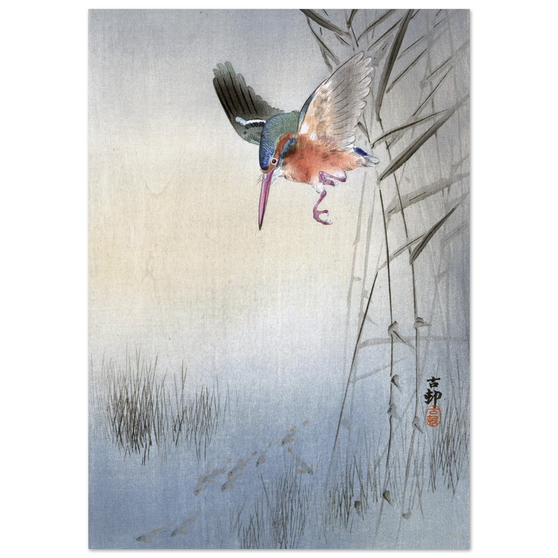 Kingfisher hunting fish by Ohara Koson  woodblock print
