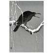 Crow on snowy tree branch by Ohara Koson, ,
