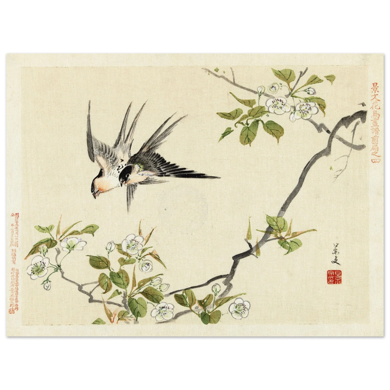 Two swallows by Matsumura Keibun, 1892 .