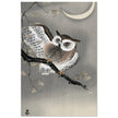 Long-eared owl in ginkgo by Ohara Koson, ,