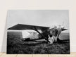 American aviator Roland Rohlfs stands in front of vintage airplane 1920 Fine art