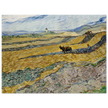 Enclosed Field with Ploughman by Vincent Van Gogh